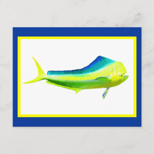 Mahi Mahi saltwater Kaart