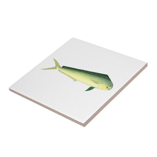 Mahi Mahi Tegeltje (Zijkant)