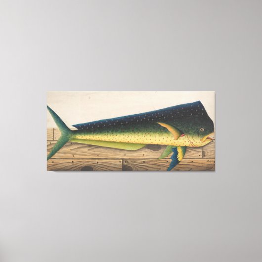 Mahi-Mahi visartwork Canvas Afdruk (Voorkant)