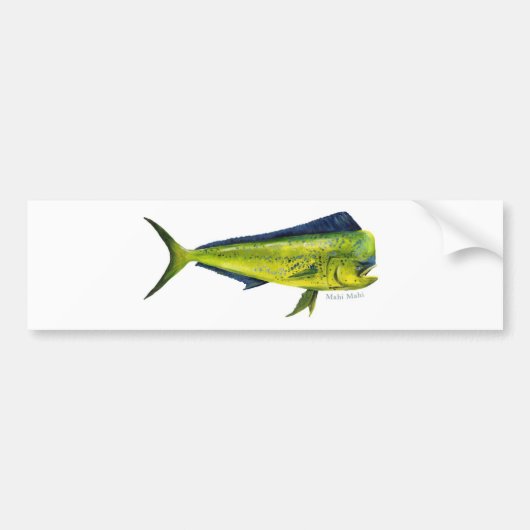 Mahi Mahi visbumper sticker (Voorkant)