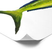 Mahi-Mahi visposter Poster (Hoek)