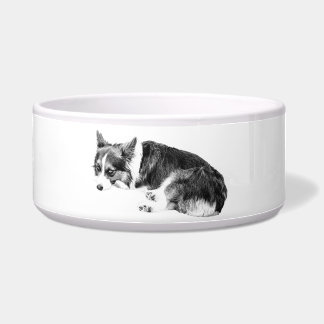 Mahlzeit Corgi, ontspannen vriend Voerbakje