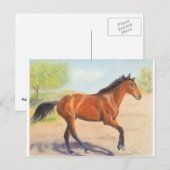 Mahogany Bay Horse Pastel Briefkaart (Voorkant / Achterkant)