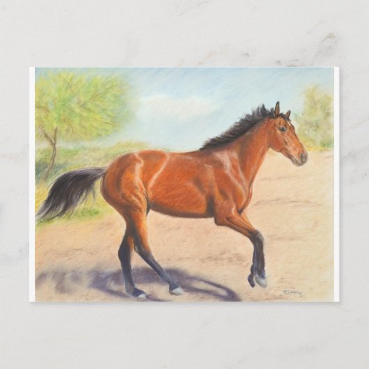 Mahogany Bay Horse Pastel Briefkaart (Voorkant)