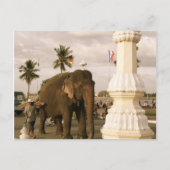 Mahout en Elephant Briefkaart (Voorkant)