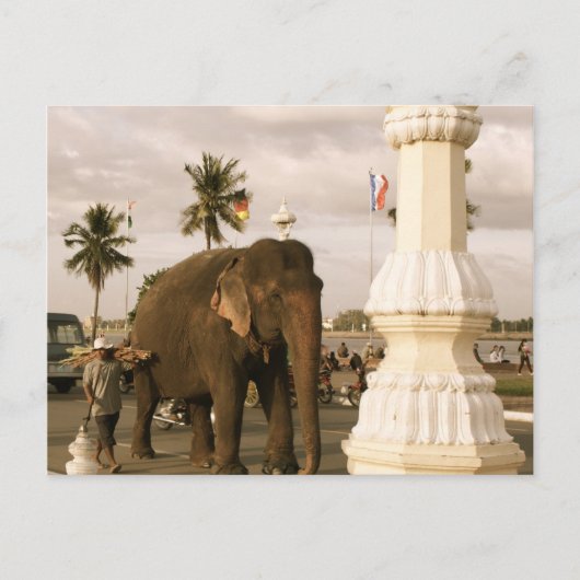 Mahout en Elephant Briefkaart (Voorkant)