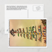 Maibaum Tree, Fredericksburg, TX Briefkaart (Voorkant / Achterkant)