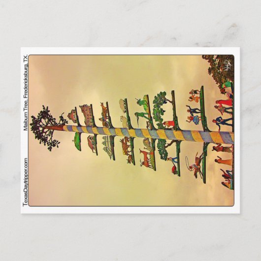 Maibaum Tree, Fredericksburg, TX Briefkaart (Voorkant)