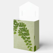 Maiden Hair Fern Frond Bedankdoosjes (Geopend)