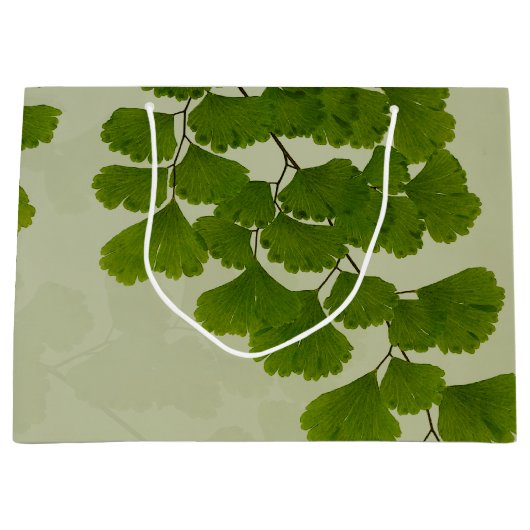 Maiden Hair Fern Frond Groot Cadeauzakje (Voorkant)