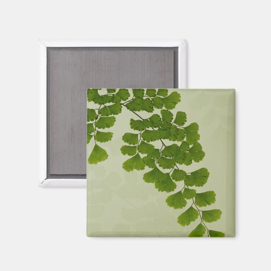 Maiden Hair Fern Frond Magneet (Voorkant / Achterkant)