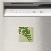 Maiden Hair Fern Frond Magneet (Insitu (Vaatwasser))
