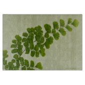 Maiden Hair Fern Frond Snijplank (Voorkant)