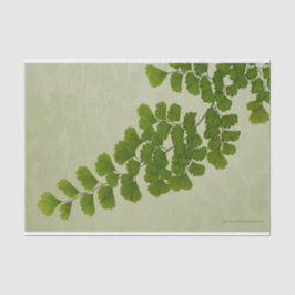 Maiden Hair Fern Frond Tissuepapier