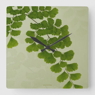 Maiden Hair Fern Frond Vierkante Klok