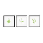 Maidenhair Fern Illustratie | Serie Fern Poster