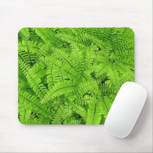 MAIDENHAIR FERN/LAGEN VAN FERN BLADEREN/GEDRAAID L MUISMAT