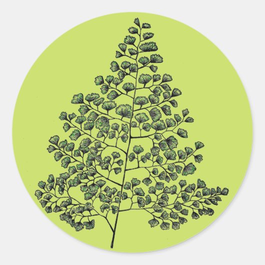 Maidenhair Fern Ronde Sticker (Voorkant)