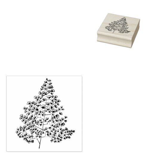 Maidenhair Fern Rubberstempel (Gestempeld)
