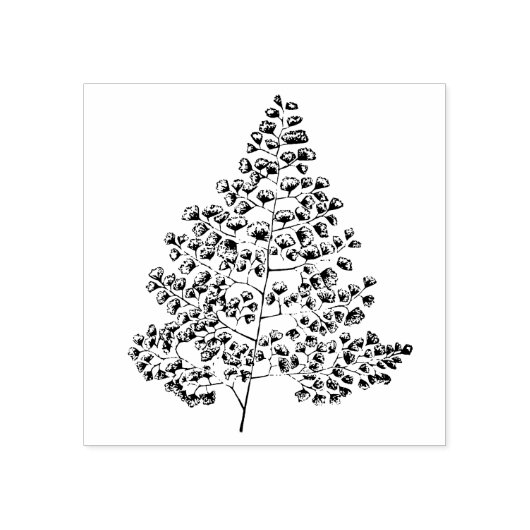 Maidenhair Fern Rubberstempel (Afrduk)