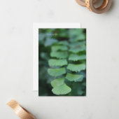 Maiden's Hair Fern Up-close Notitiekaartje (Voorkant / Achterkant in situ)