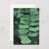 Maiden's Hair Fern Up-close Notitiekaartje (Voorkant / Achterkant)