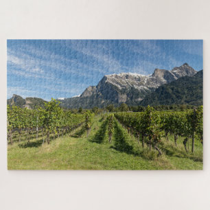 Maienfeld Graubünden Zwitserland Wijngaarden Legpuzzel