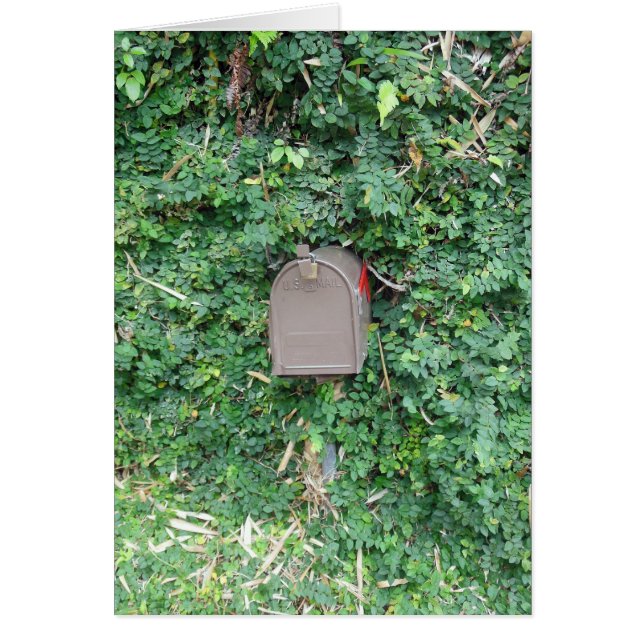 Mail in Paradise (Voorkant)