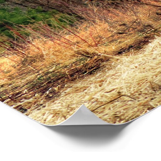 Mail Pouch Barn Poster (Hoek)