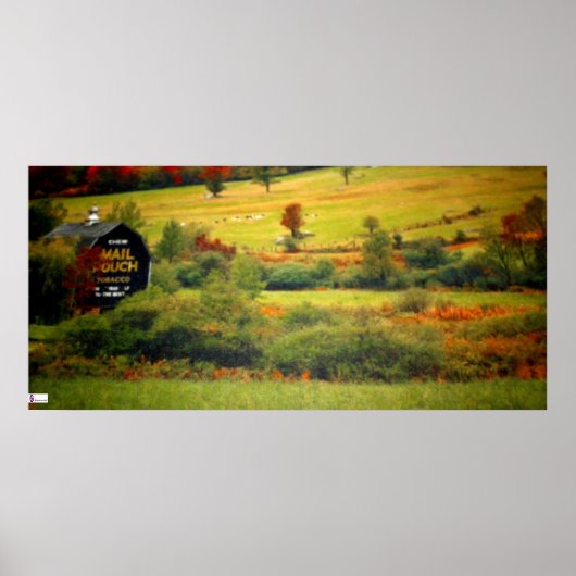 Mail Pouch Barn Poster (Voorkant)