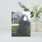 Mailbox en Clematis Briefkaart (Staand voorkant)