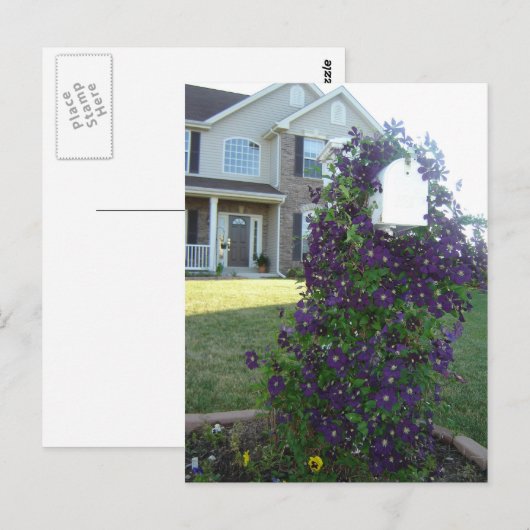 Mailbox en Clematis Briefkaart (Voorkant / Achterkant)