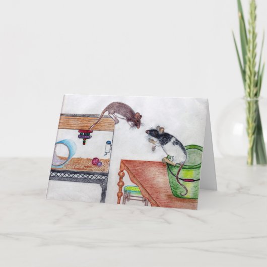 Mailbox Molly Note Kaart 4 (Voorkant)