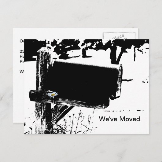 Mailbox rural en Daisy Briefkaart (Voorkant / Achterkant)