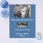 Mailboxbrochure verliezen of gevonden katten flyer (Enkel)