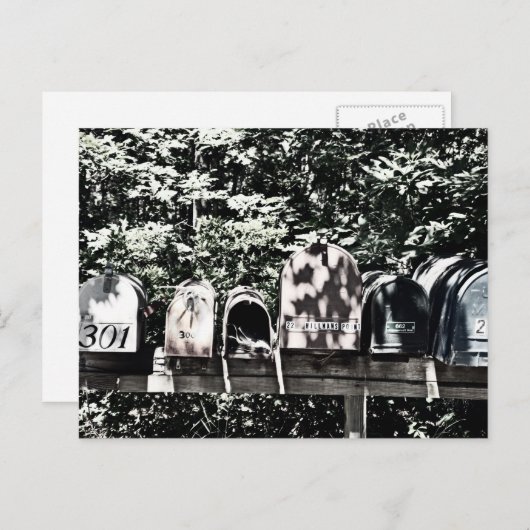 Mailboxes on the Vineyard Briefkaart (Voorkant / Achterkant)