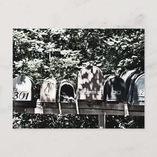 Mailboxes on the Vineyard Briefkaart (Voorkant)