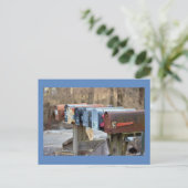 Mailboxfoto Briefkaart (Staand voorkant)