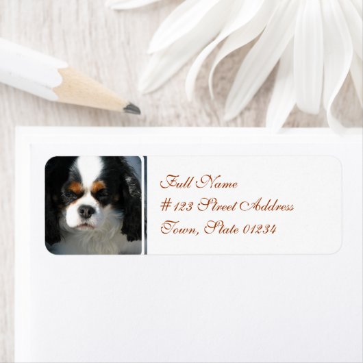 Mailing Label-2 - Gepersonaliseerd Etiket (Insitu)