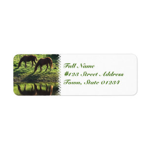 Mailing label paardenhaar