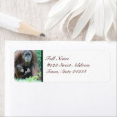 MailingLabel-5 - Gepersonaliseerd Etiket (Insitu)