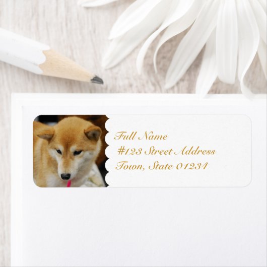 MailingLabel-5 - Gepersonaliseerd Etiket (Insitu)