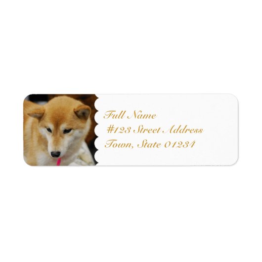 MailingLabel-5 - Gepersonaliseerd Etiket (Voorkant)