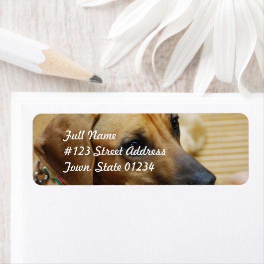 Mailinglabel Sjabloon 2 - Gepersonaliseerd Etiket (Insitu)