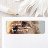 Mailinglabel Sjabloon 2 - Gepersonaliseerd Etiket (Insitu)