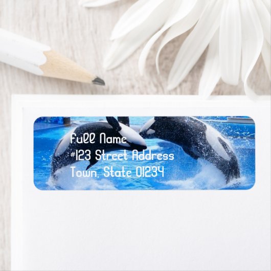 Mailinglabel walvis-retouradres etiket (Insitu)