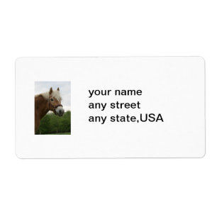 mailinglabels voor paarden etiket