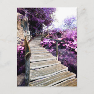 Mailinglijst Commentaar Kaart Wisteria Trappen