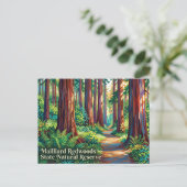 Mailliard Redwoods State Natural Reserve Briefkaart (Staand voorkant)