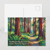 Mailliard Redwoods State Natural Reserve Briefkaart (Voorkant / Achterkant)